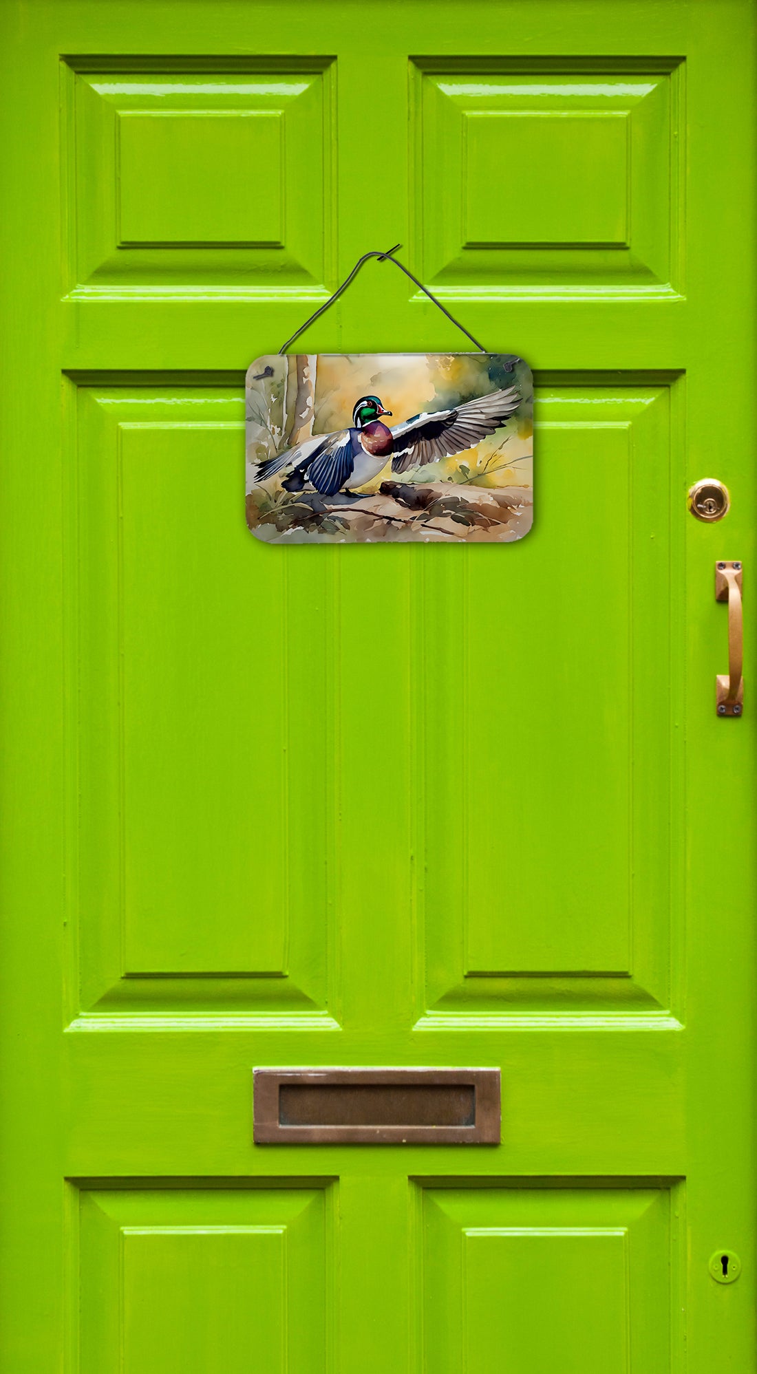 Buy this Wood Duck Wall or Door Hanging Prints