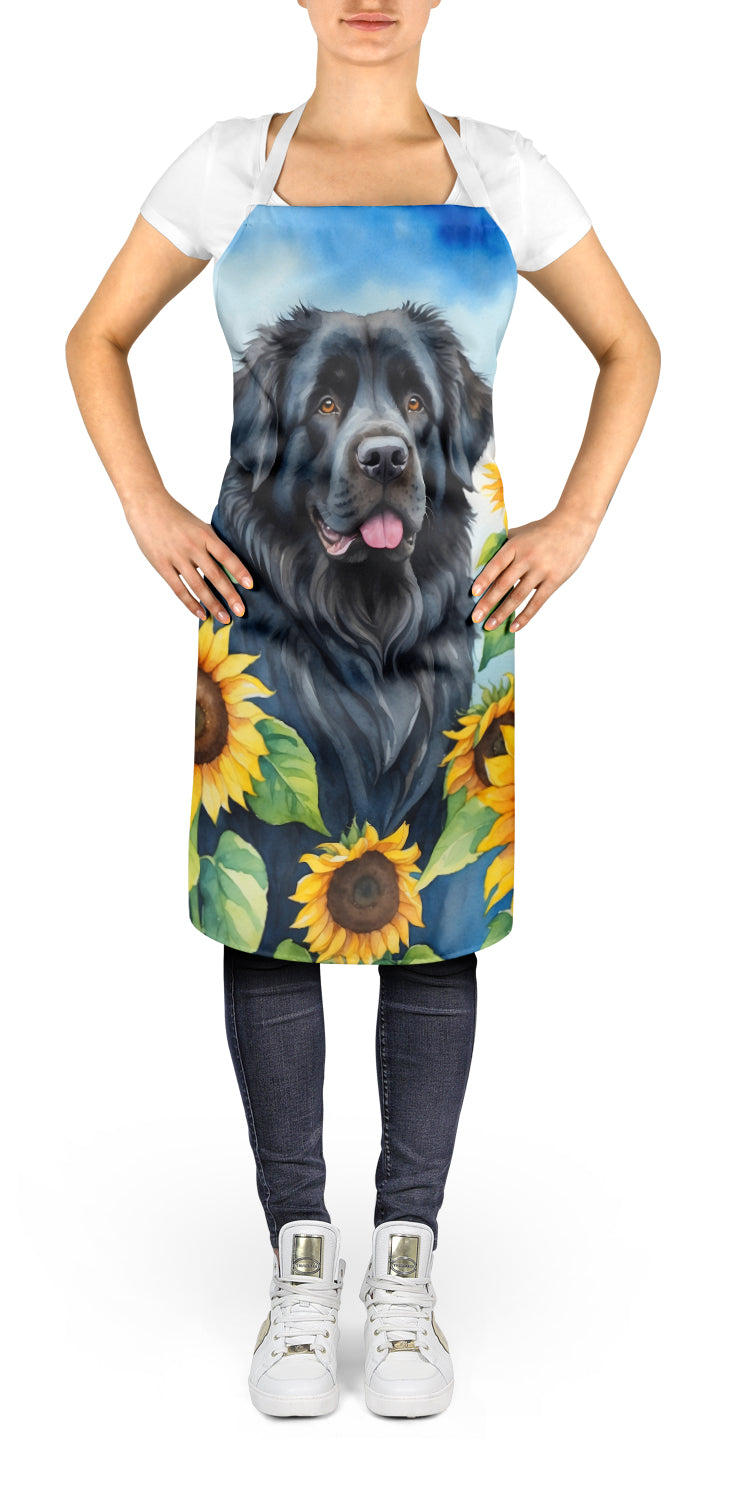 Newfoundland in Sunflowers Apron