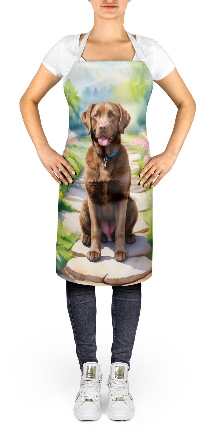 Buy this Chesapeake Bay Retriever Spring Path Apron