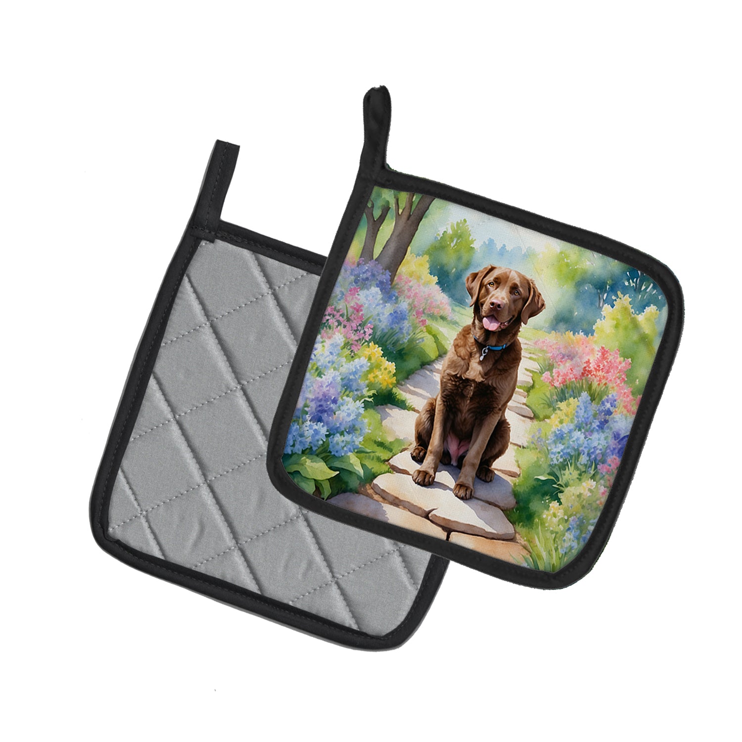 Buy this Chesapeake Bay Retriever Spring Path Pair of Pot Holders