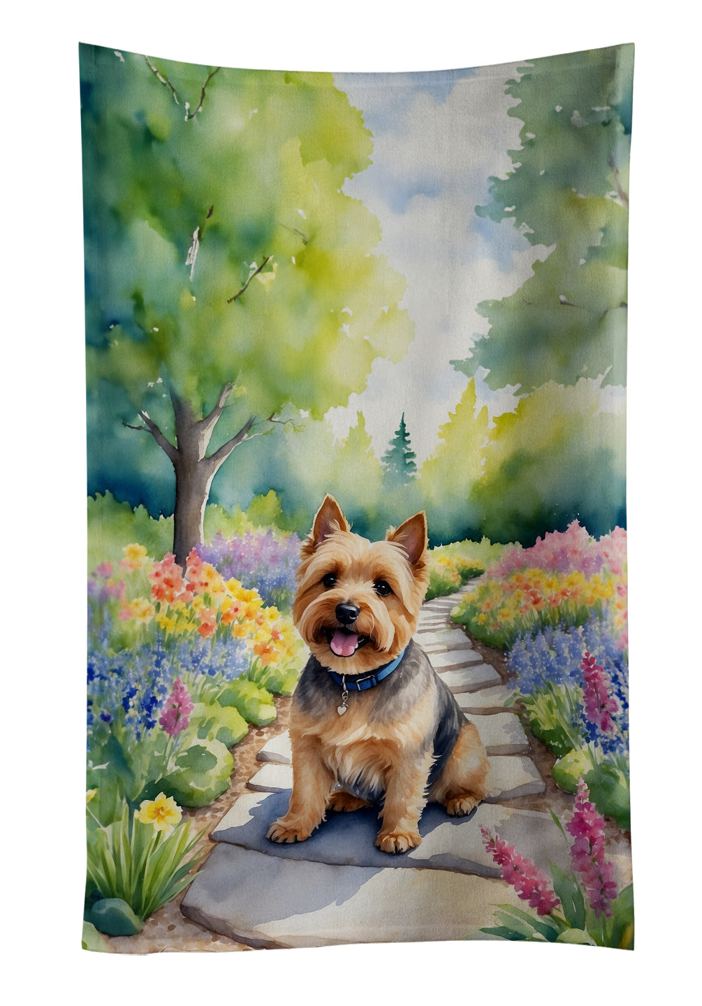 Buy this Norwich Terrier Spring Path Kitchen Towel