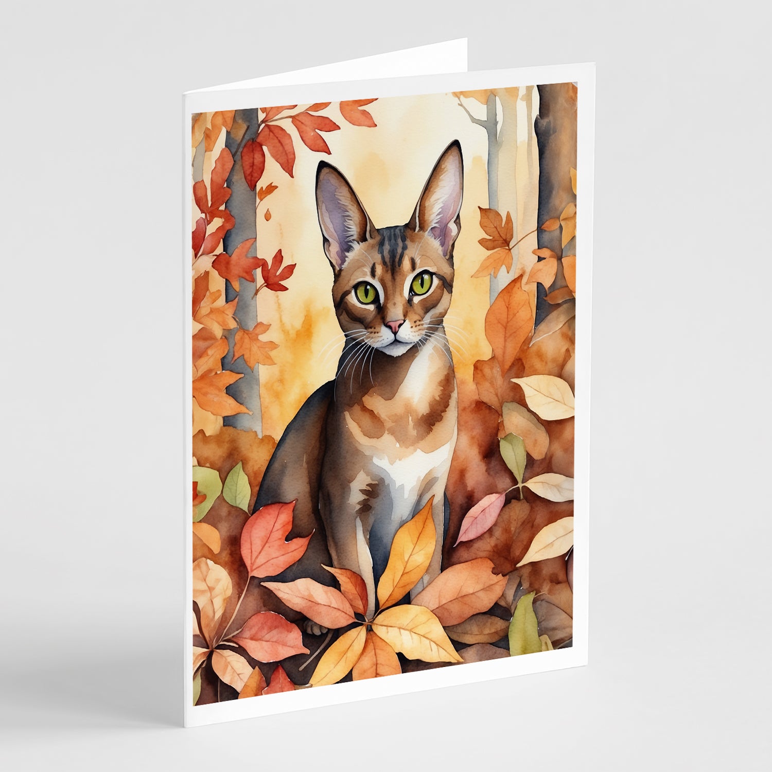 Buy this Abyssinian Cat in Fall Leaves Greeting Cards Pack of 8