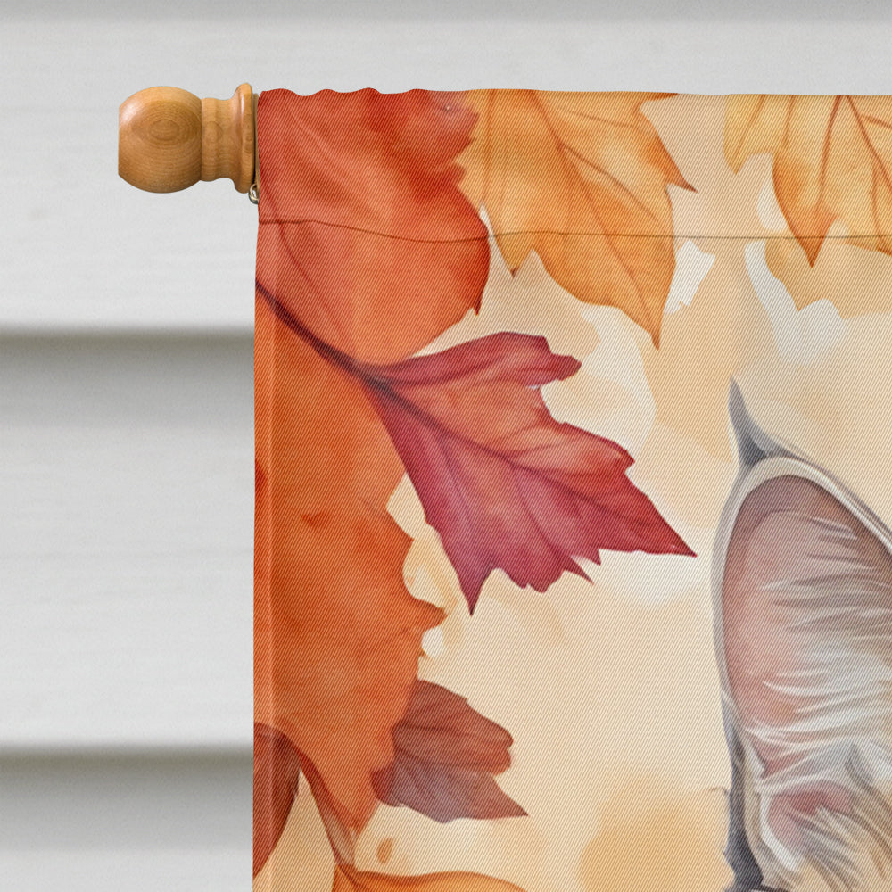 American Curl Cat in Fall Leaves House Flag