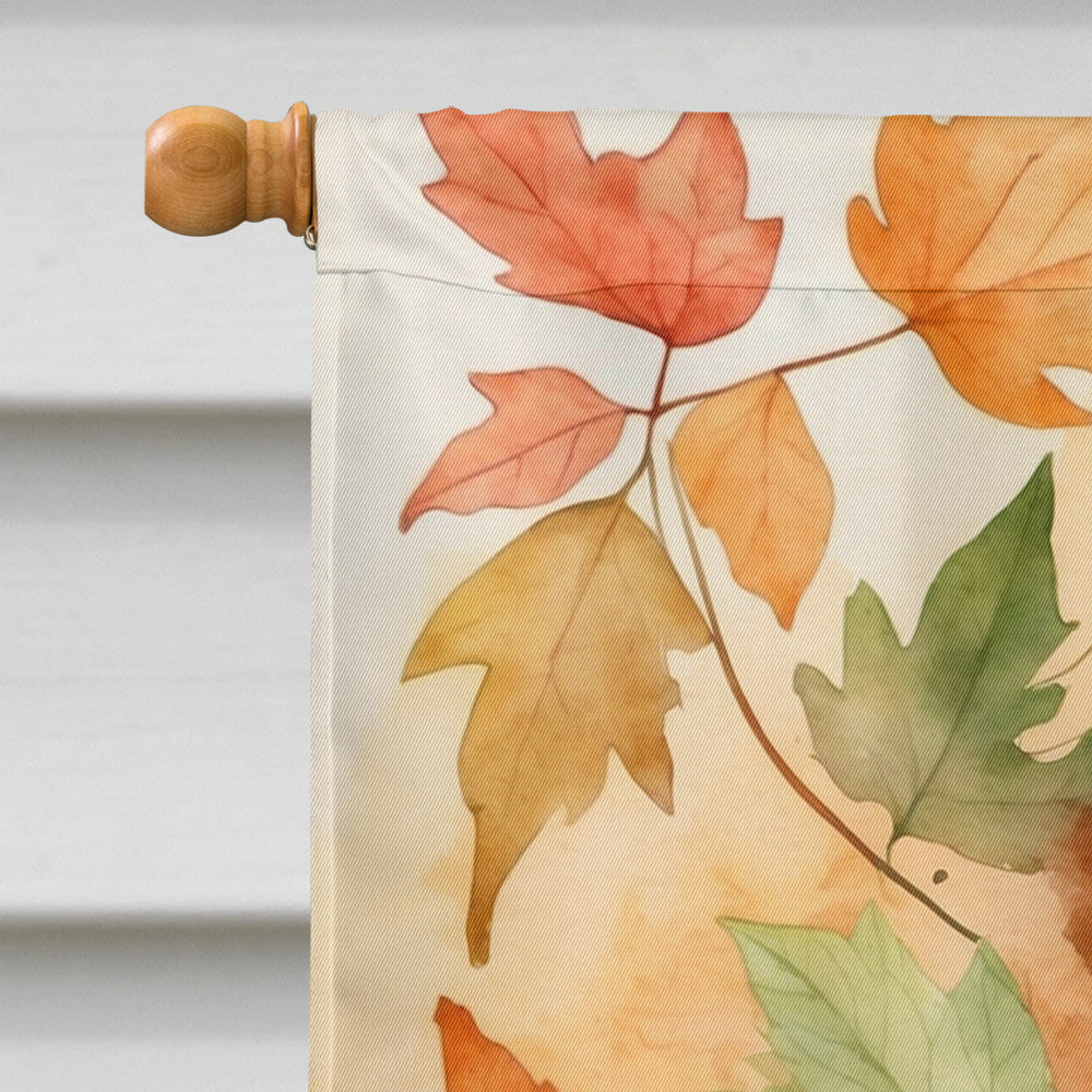 Ragamuffin Cat in Fall Leaves House Flag