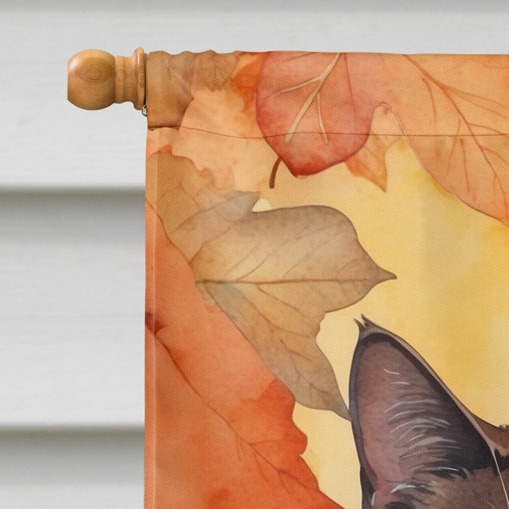 York Chocolate Cat in Fall Leaves House Flag