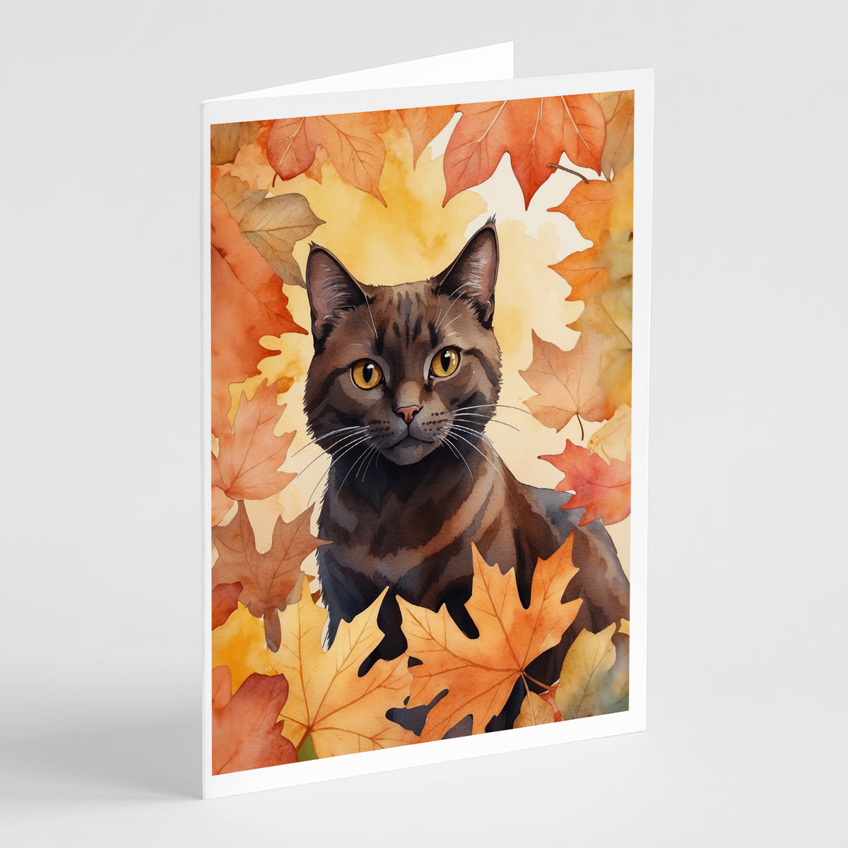 Buy this York Chocolate Cat in Fall Leaves Greeting Cards Pack of 8