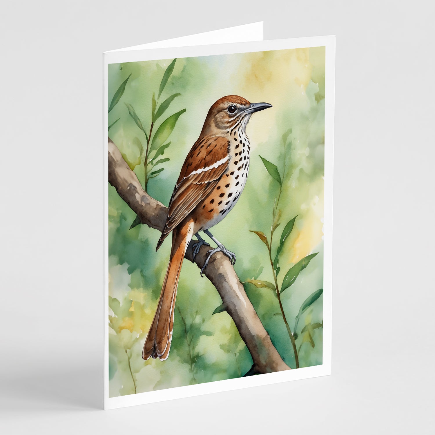 Buy this Georgia Brown Thrasher Greeting Cards Pack of 8