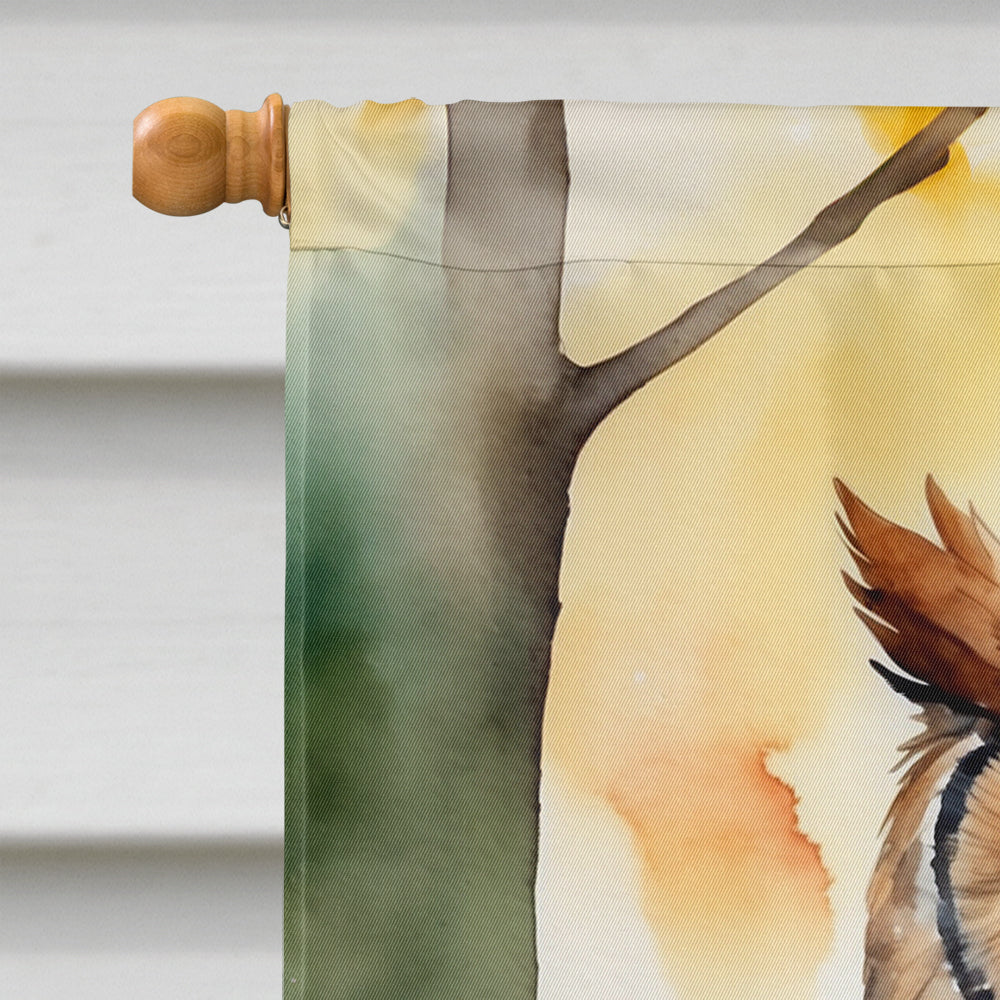 Eastern Screech Owl House Flag