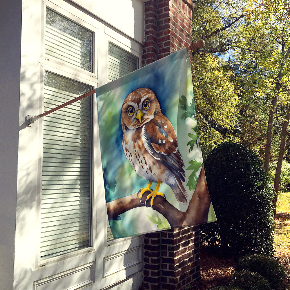 Buy this Northern Pygmy Owl House Flag