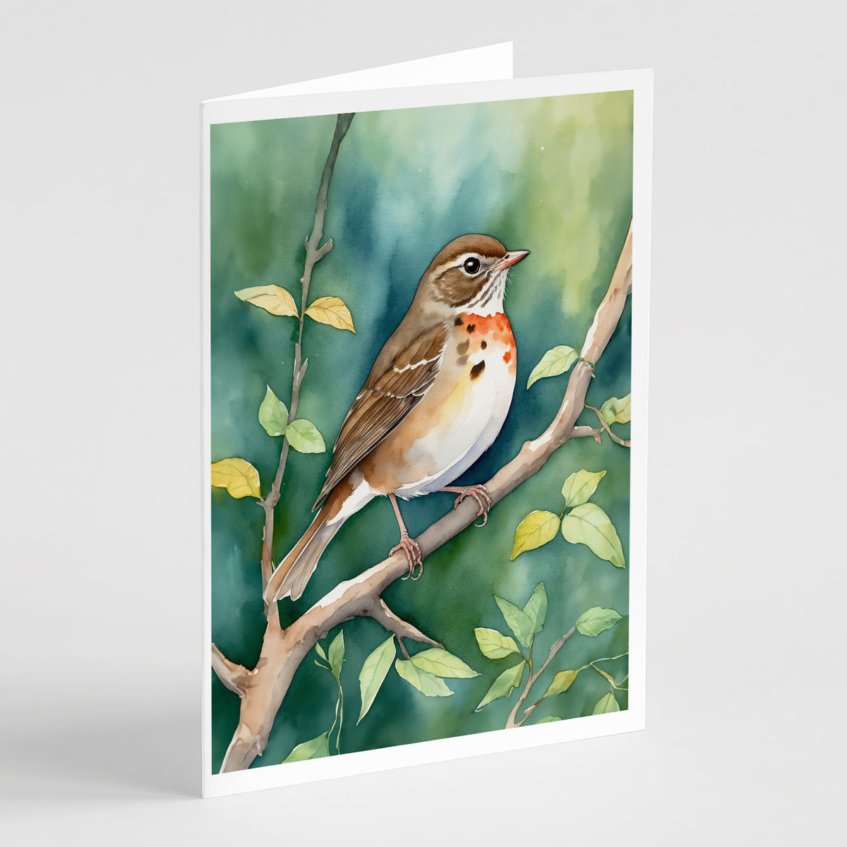 Buy this Vermont Hermit Thrush Greeting Cards Pack of 8