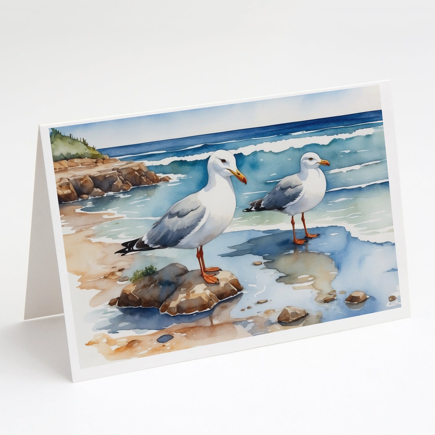 Buy this Gulls Scavenging Greeting Cards Pack of 8