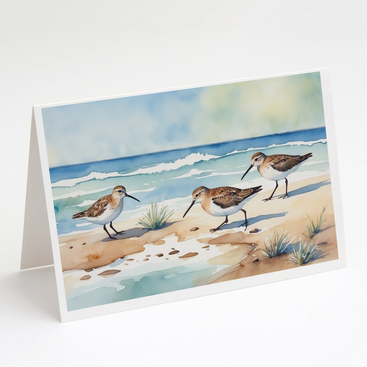 Buy this Sandpipers Hunting Greeting Cards Pack of 8