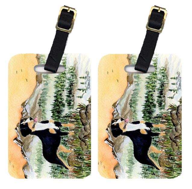 Pair of 2 Entlebucher Mountain Dog Luggage Tags by Caroline's Treasures