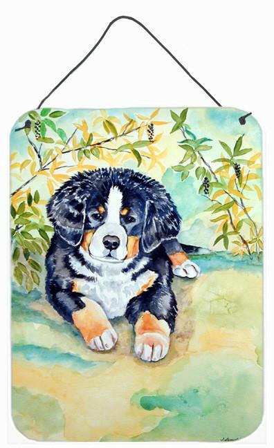 Bernese Mountain Dog Puppy Aluminium Metal Wall or Door Hanging Prints by Caroline's Treasures