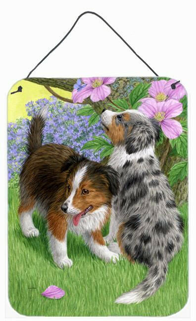 Sheltie Puppies Wall or Door Hanging Prints ASA2166DS1216 by Caroline's Treasures