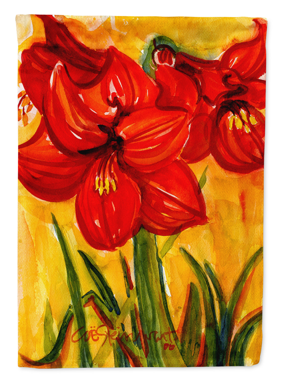 Flower - Amaryllis Flag Garden Size.