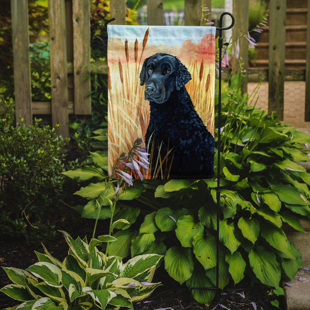 Curly Coated Retriever Flag Garden Size.