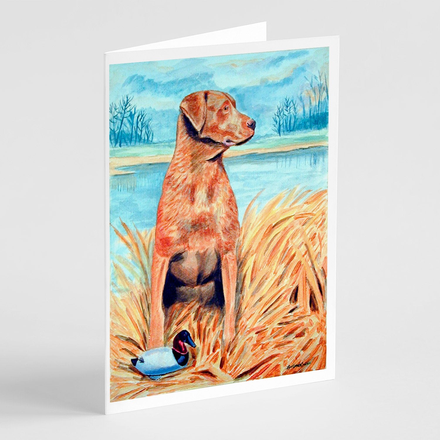 Buy this Chesapeake Bay Retriever Greeting Cards and Envelopes Pack of 8