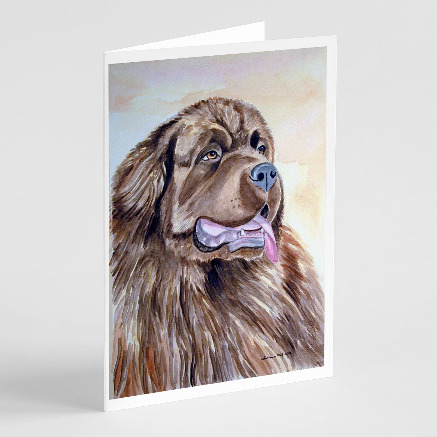 Buy this Newfoundland Greeting Cards and Envelopes Pack of 8