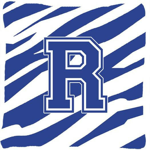 Monogram Initial R Tiger Stripe Blue and White Decorative  Canvas Fabric Pillow - the-store.com