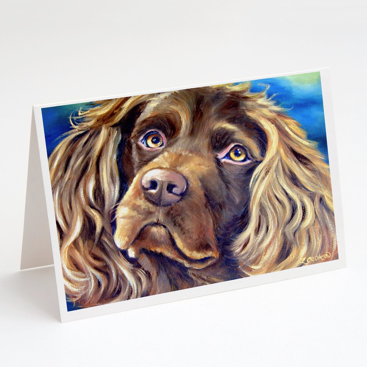 Buy this Boykin Spaniel Greeting Cards and Envelopes Pack of 8