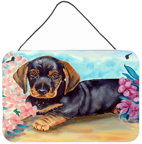 Dachshund Aluminium Metal Wall or Door Hanging Prints by Caroline&#39;s Treasures