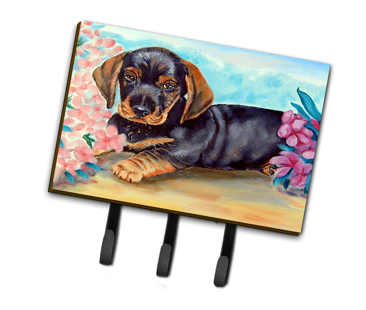 Dachshund Leash Holder or Key Hook  the-store.com.