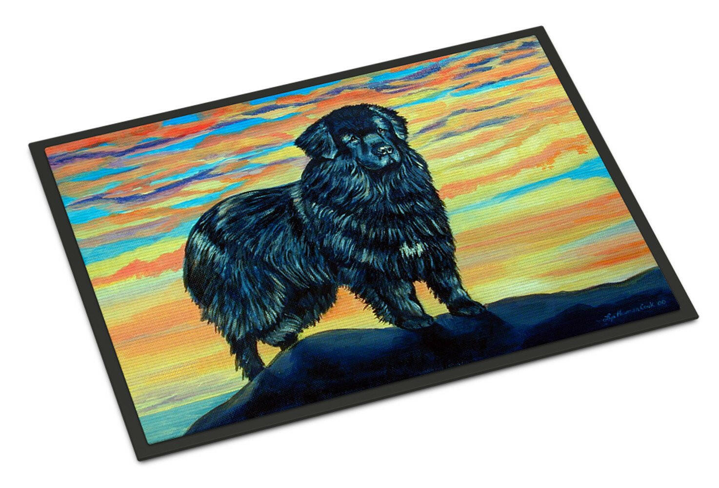 Newfoundland Indoor Outdoor Mat 18x27 Doormat - the-store.com