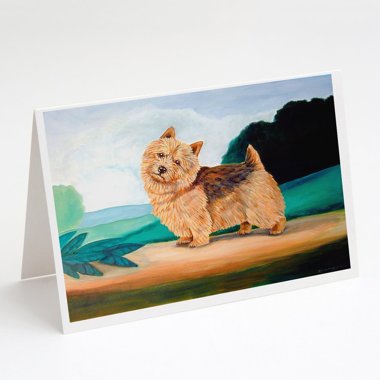 Buy this Norwich Terrier Greeting Cards and Envelopes Pack of 8