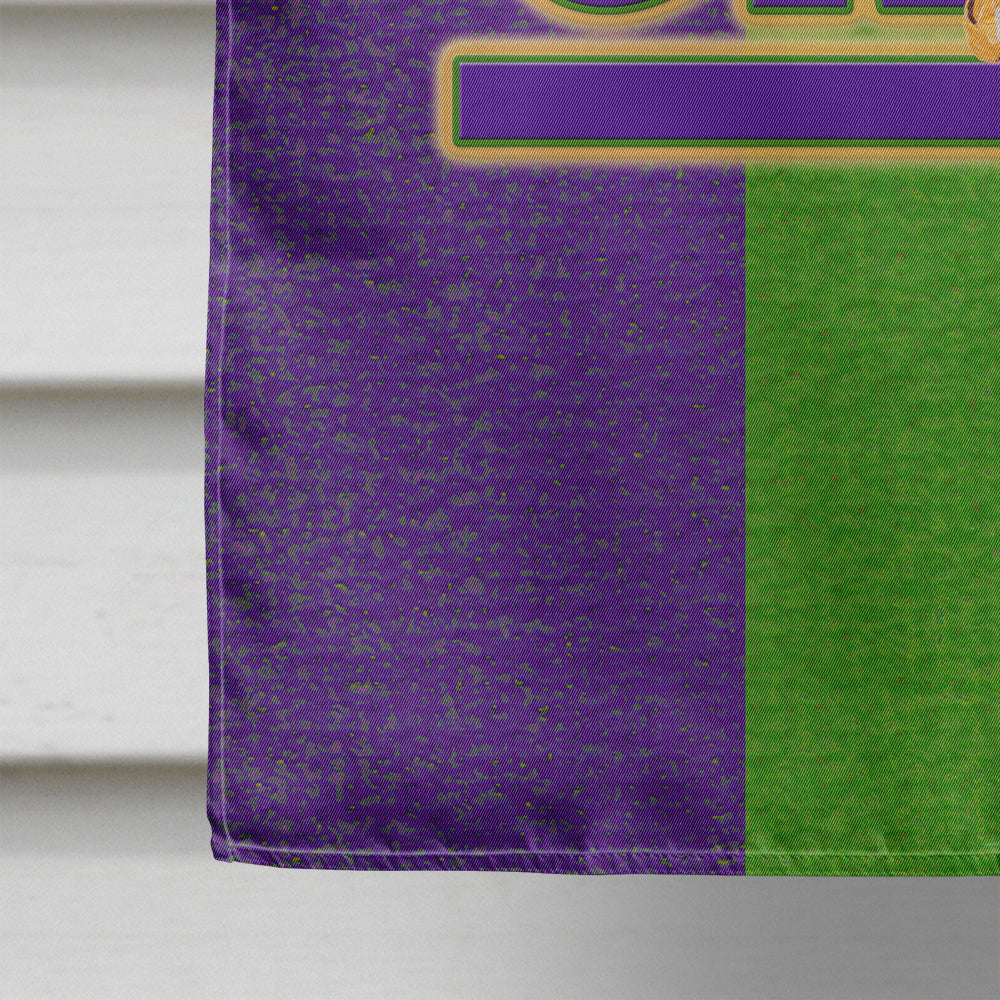 Mardi Gras Flag Canvas House Size  the-store.com.