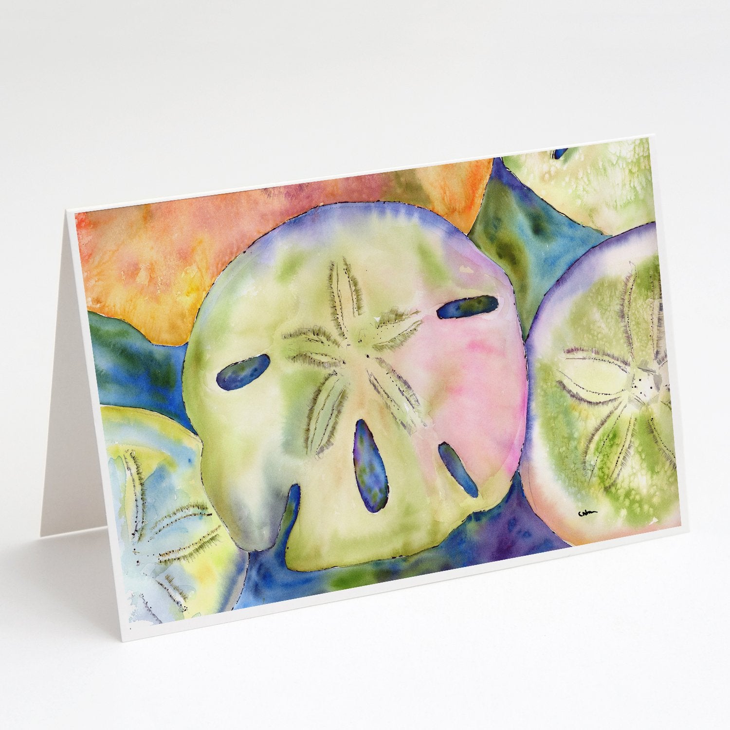 Buy this Sand Dollar Greeting Cards and Envelopes Pack of 8