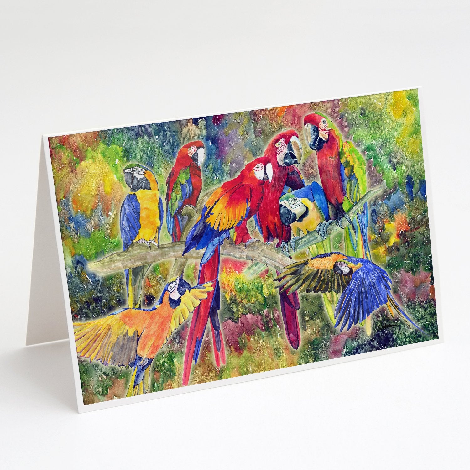 Buy this Parrot  Parrot Head Greeting Cards and Envelopes Pack of 8