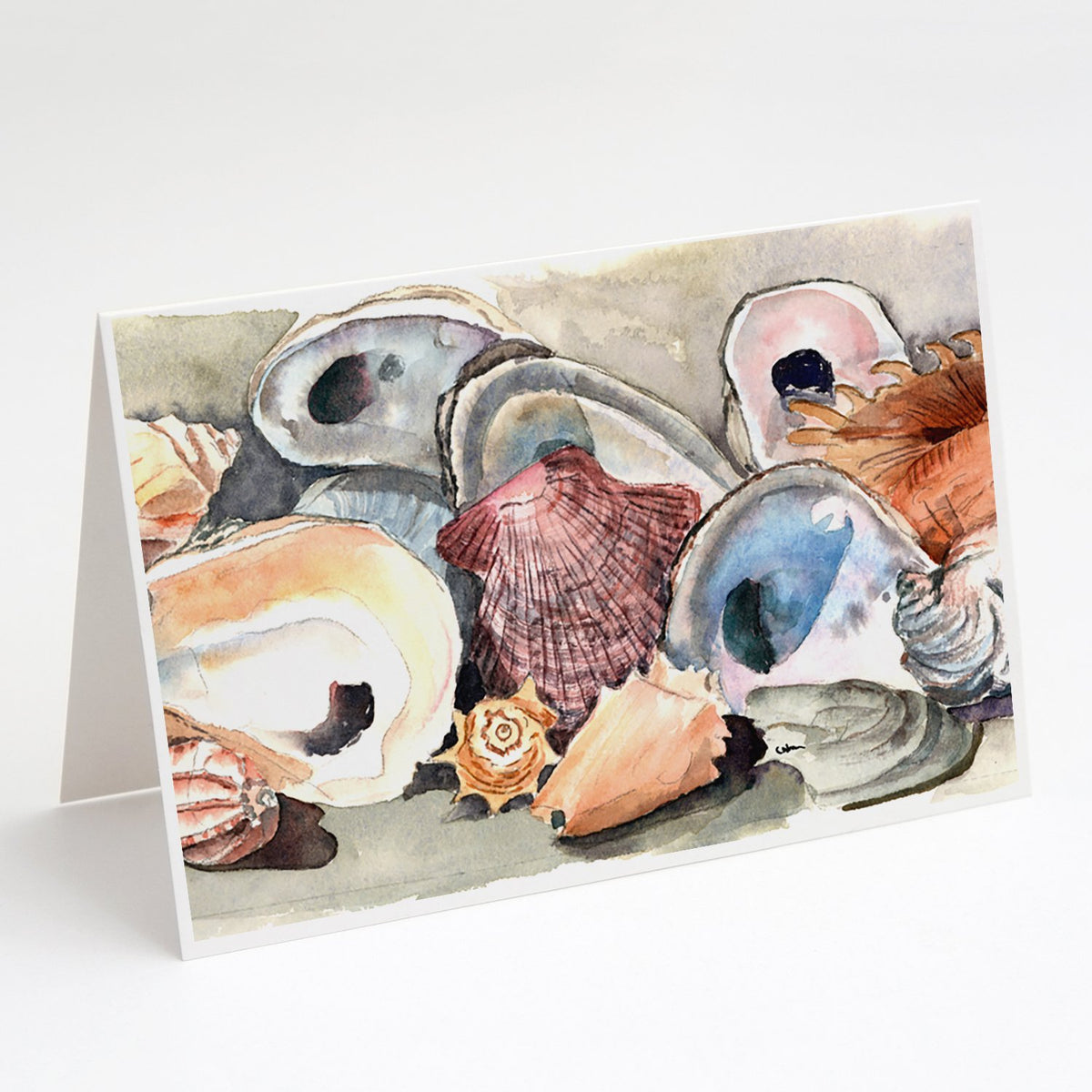 Buy this Sea Shells Greeting Cards and Envelopes Pack of 8