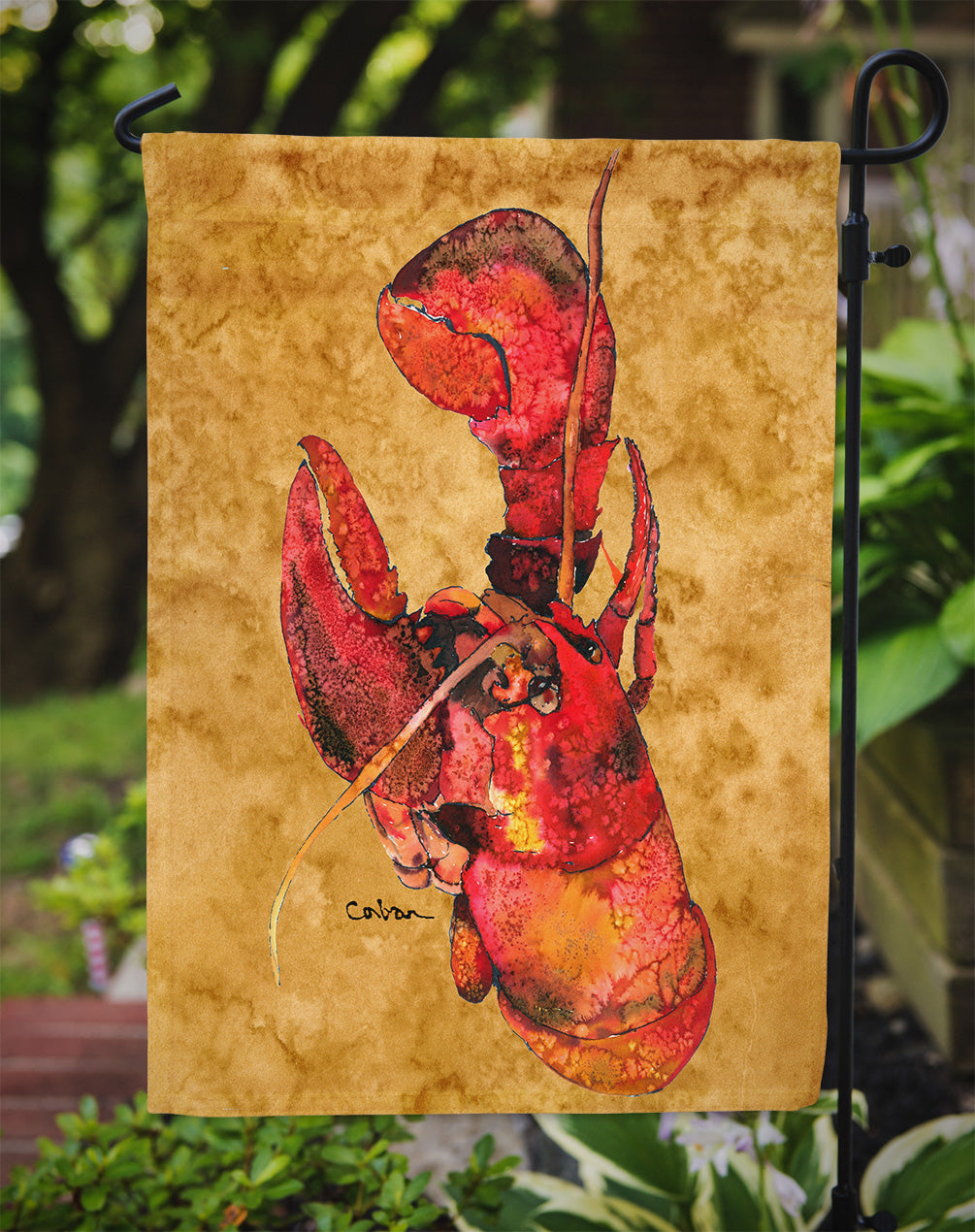 Lobster  Cooked Flag Garden Size.