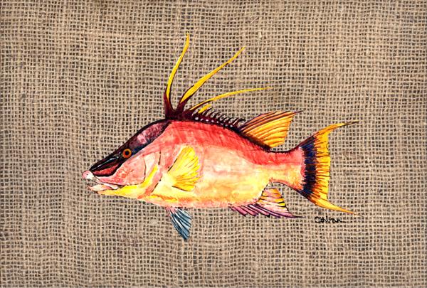 Hog Snapper on Faux Burlap Fabric Placemat 8753PLMT by Caroline's Treasures