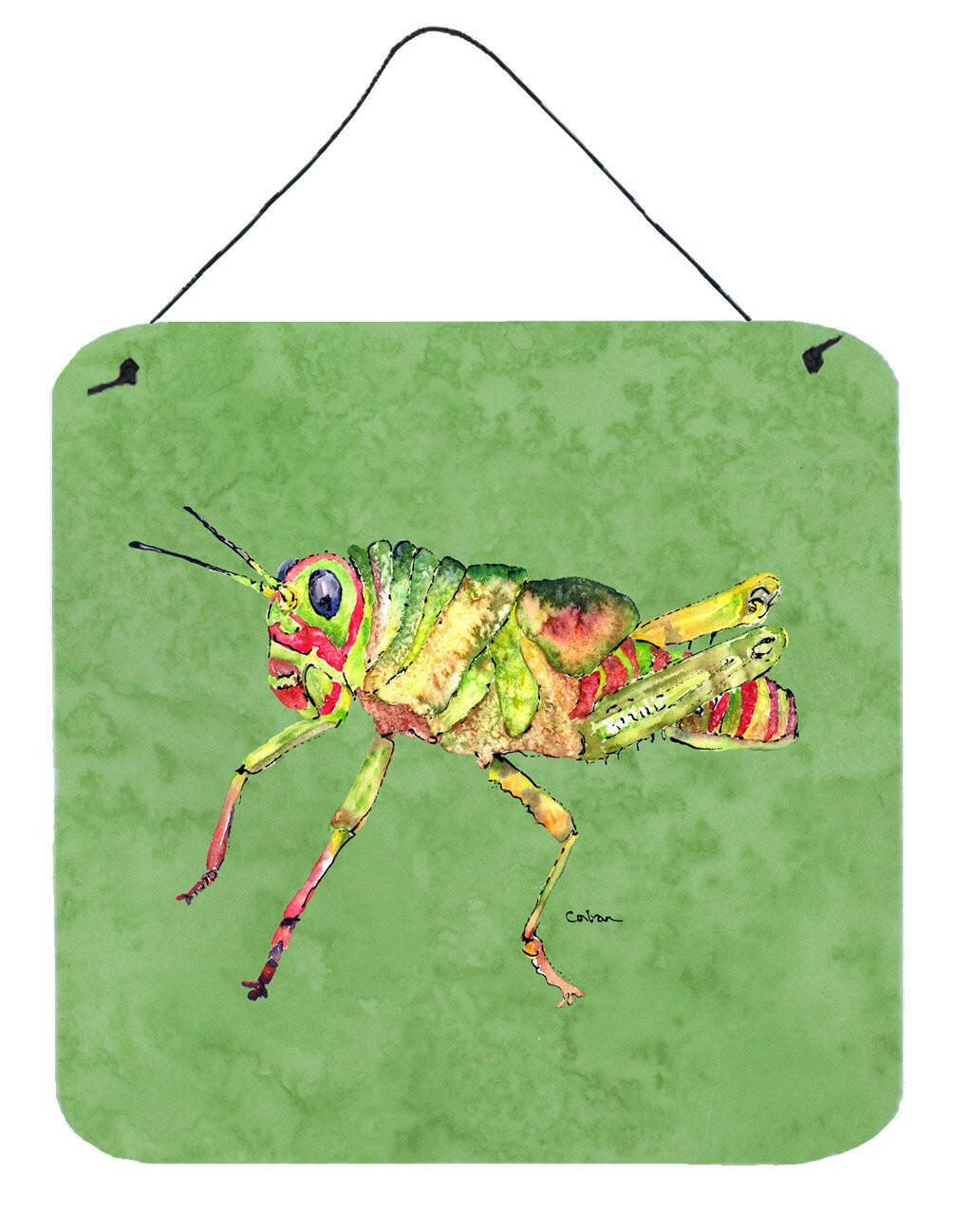 Grasshopper on Avacado Aluminium Metal Wall or Door Hanging Prints by Caroline's Treasures