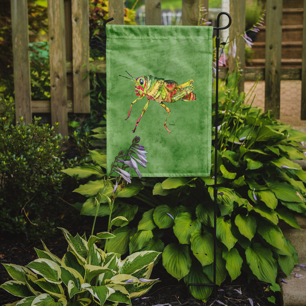 Grasshopper on Avacado Flag Garden Size.