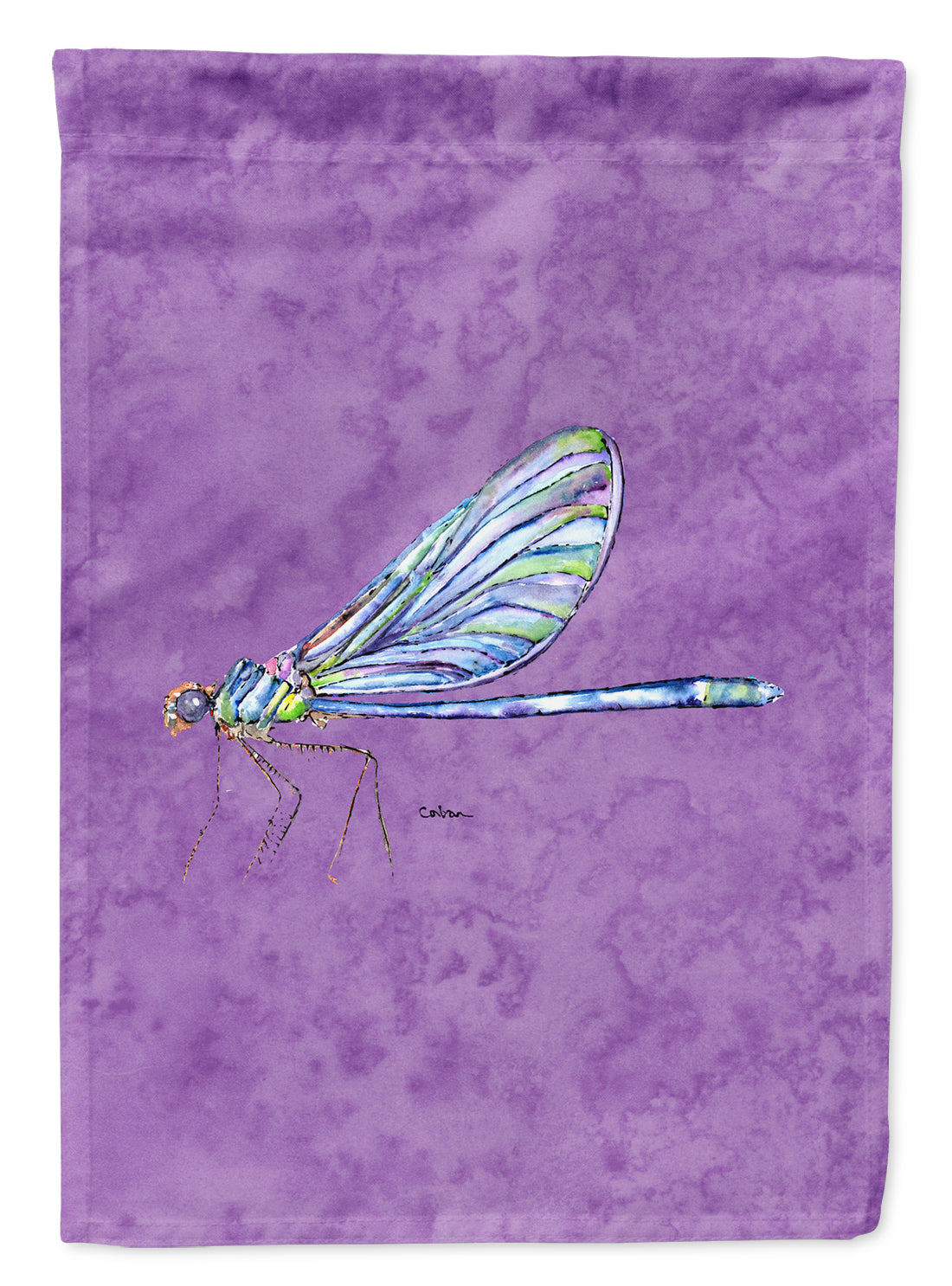 Dragonfly on Purple Flag Garden Size.