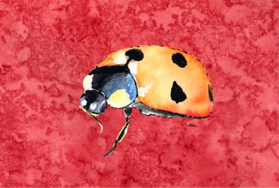 Lady Bug on Red Fabric Placemat by Caroline's Treasures