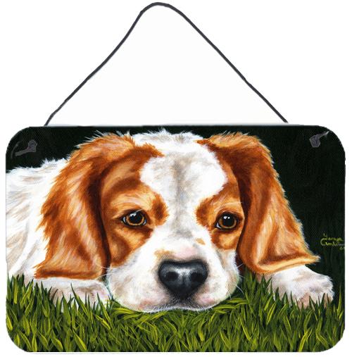 Cavalier Spaniel in the Grass Wall or Door Hanging Prints by Caroline&#39;s Treasures