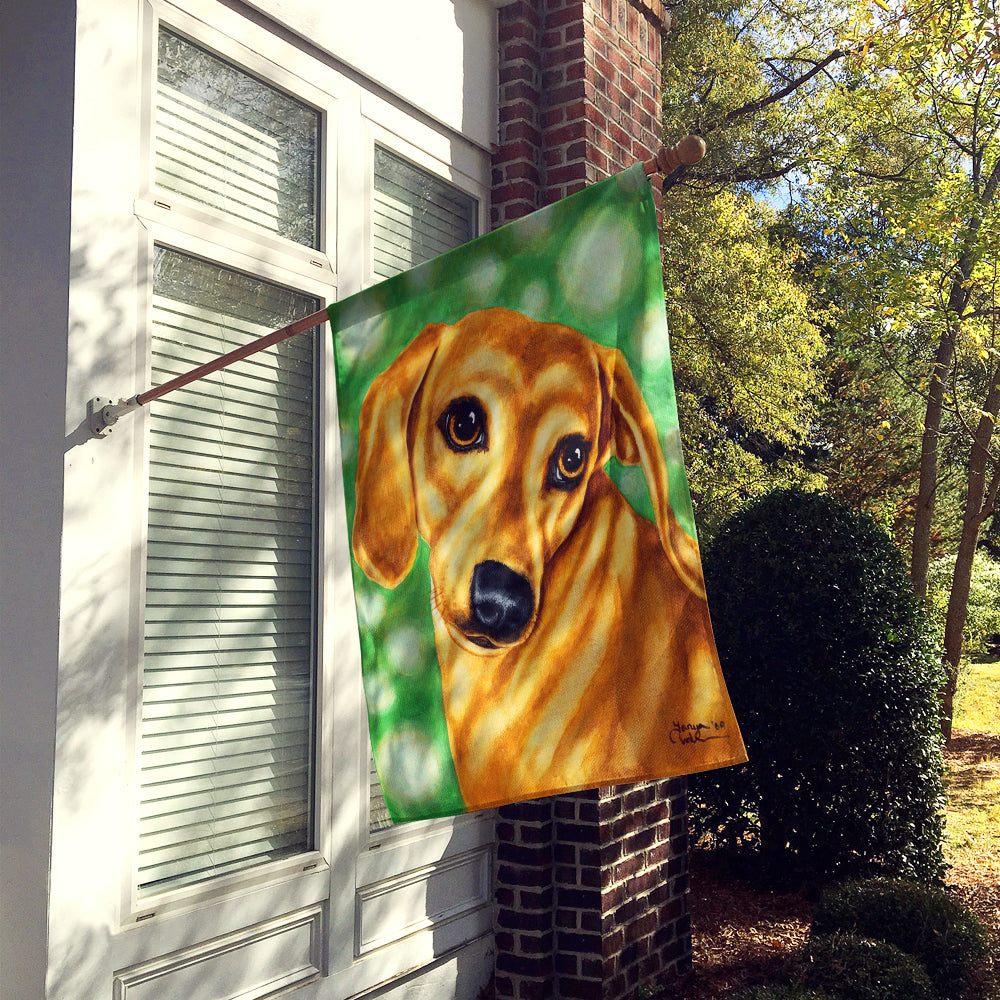 The Eyes Have It Dachshund Flag Canvas House Size AMB1414CHF  the-store.com.