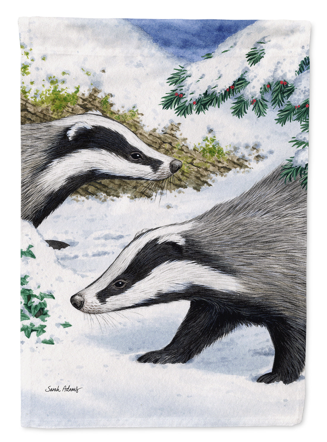 Badgers Look Here Flag Garden Size ASA2040GF.