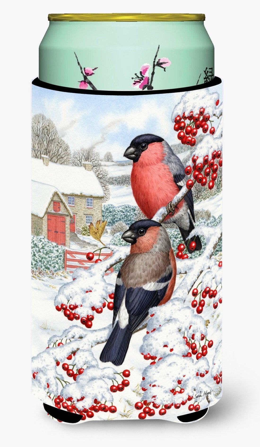 Eurasian Bullfinch Tall Boy Beverage Insulator Hugger ASA2054TBC by Caroline's Treasures