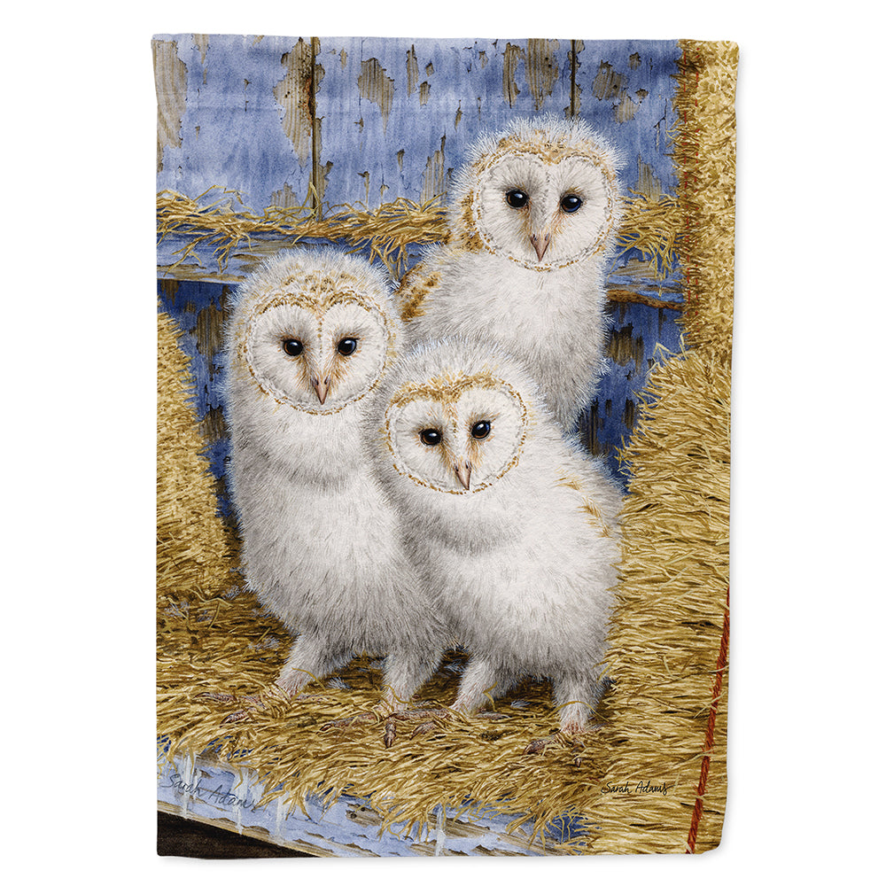 Barn Owl Chicks Flag Canvas House Size ASA2076CHF  the-store.com.