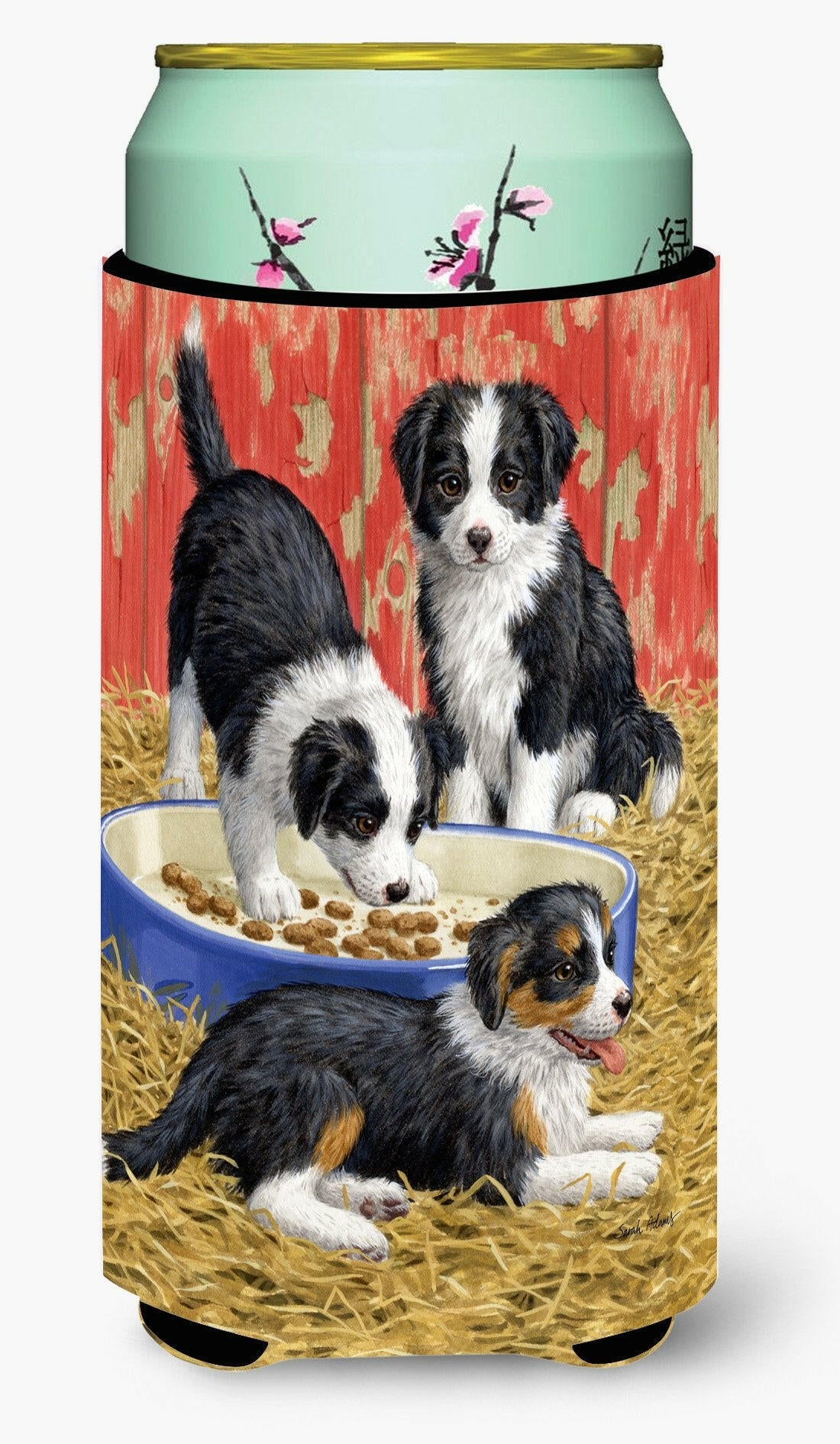 Border Collie Pups Tall Boy Beverage Insulator Hugger ASA2079TBC by Caroline&#39;s Treasures