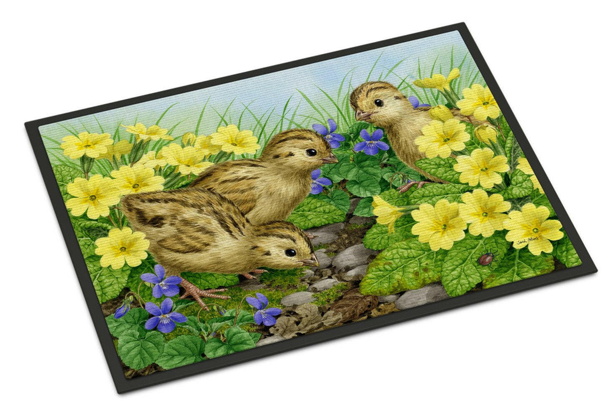 Pheasant Chicks Indoor or Outdoor Mat 24x36 ASA2177JMAT - the-store.com