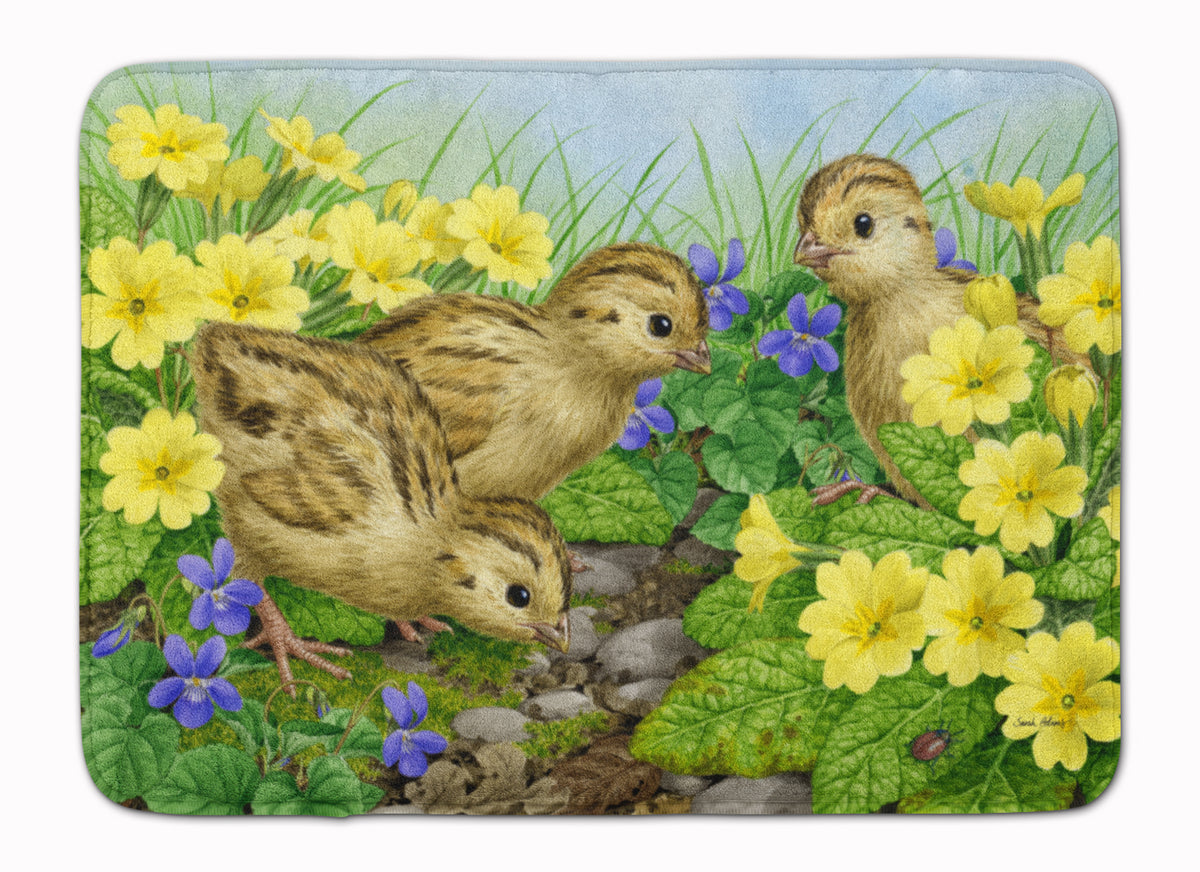 Pheasant Chicks Machine Washable Memory Foam Mat ASA2177RUG - the-store.com