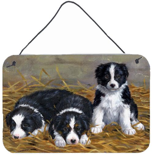 Border Collie Puppies Wall or Door Hanging Prints ASA2196DS812 by Caroline's Treasures