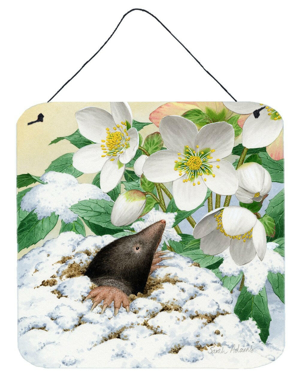 Mole by Sarah Adams Wall or Door Hanging Prints ASAD0387DS66 by Caroline&#39;s Treasures