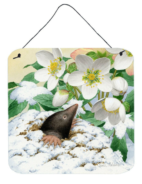 Mole by Sarah Adams Wall or Door Hanging Prints ASAD0387DS66 by Caroline's Treasures